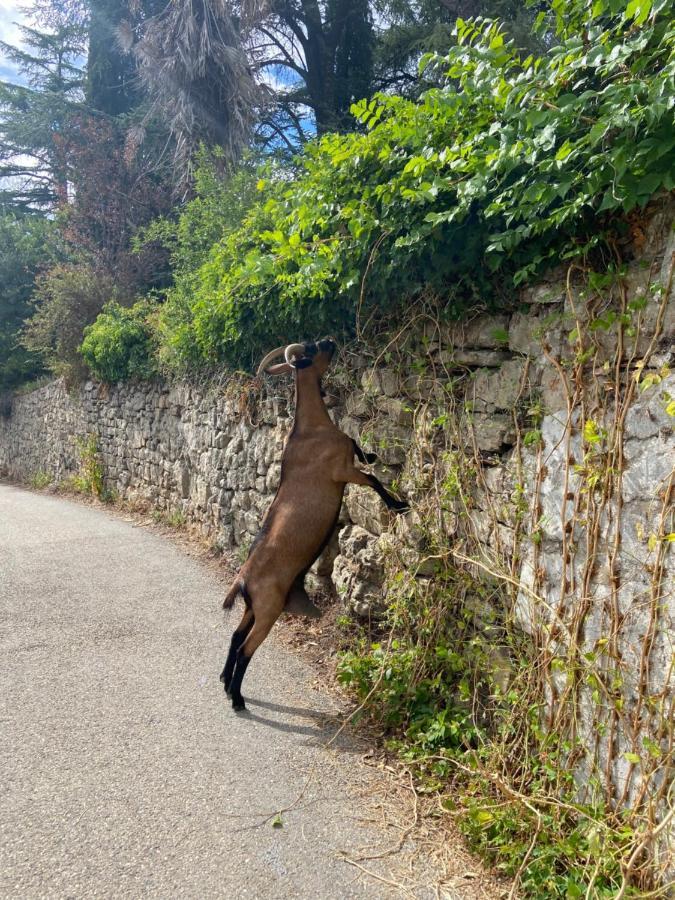 La Frigoule, Un Gite Au Coeur Du Parc Des Cevennes Generargues Bagian luar foto