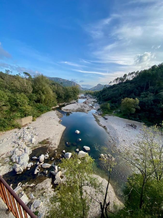 La Frigoule, Un Gite Au Coeur Du Parc Des Cevennes Generargues Bagian luar foto