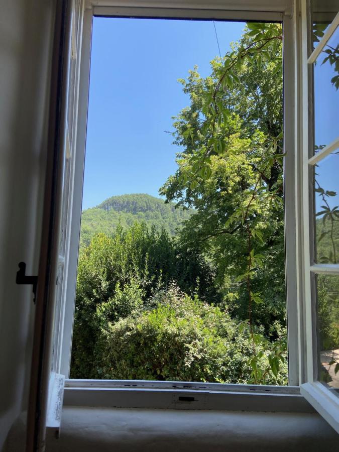 La Frigoule, Un Gite Au Coeur Du Parc Des Cevennes Generargues Bagian luar foto