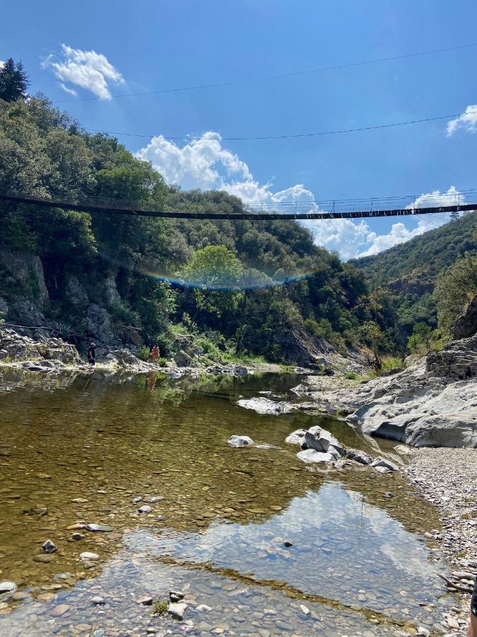 La Frigoule, Un Gite Au Coeur Du Parc Des Cevennes Generargues Bagian luar foto