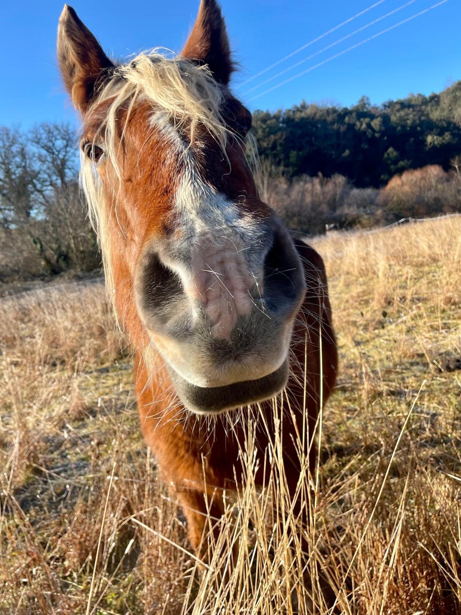 La Frigoule, Un Gite Au Coeur Du Parc Des Cevennes Generargues Bagian luar foto